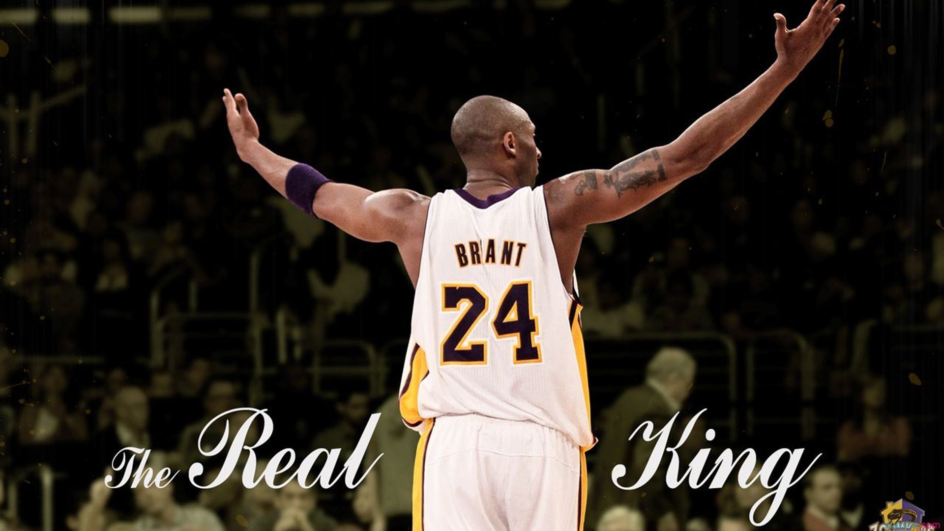 德甲新赛季前瞻，拜仁冲击12连冠，勒沃库森能否延续黑马传奇？